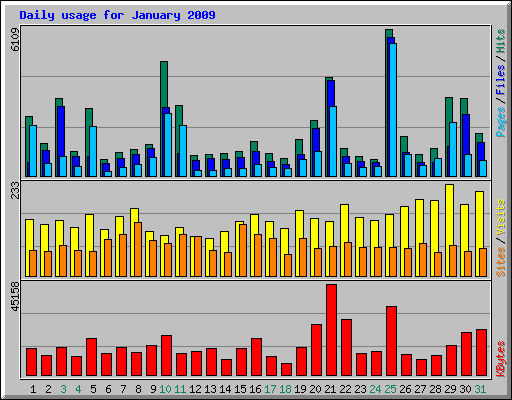 Daily usage for January 2009