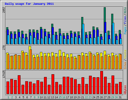 Daily usage for January 2011