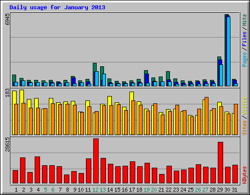 Daily usage for January 2013