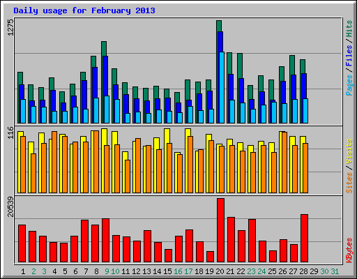 Daily usage for February 2013