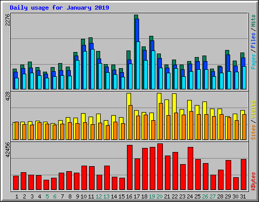 Daily usage for January 2019
