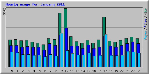 Hourly usage for January 2011