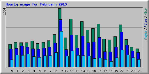 Hourly usage for February 2013