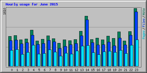 Hourly usage for June 2015