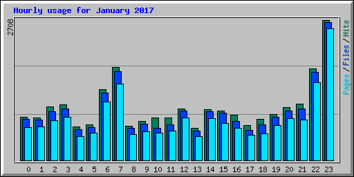 Hourly usage for January 2017