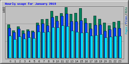 Hourly usage for January 2019