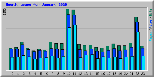 Hourly usage for January 2020