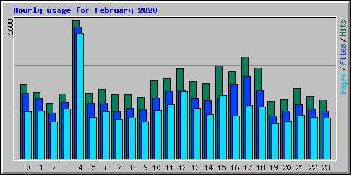 Hourly usage for February 2020