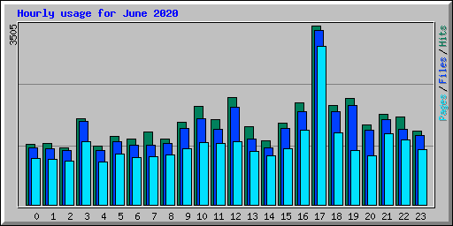 Hourly usage for June 2020